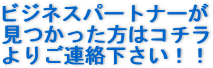 �r�W�l�X�p�[�g�i�[�������������͂����炩�炲�A���������I�I